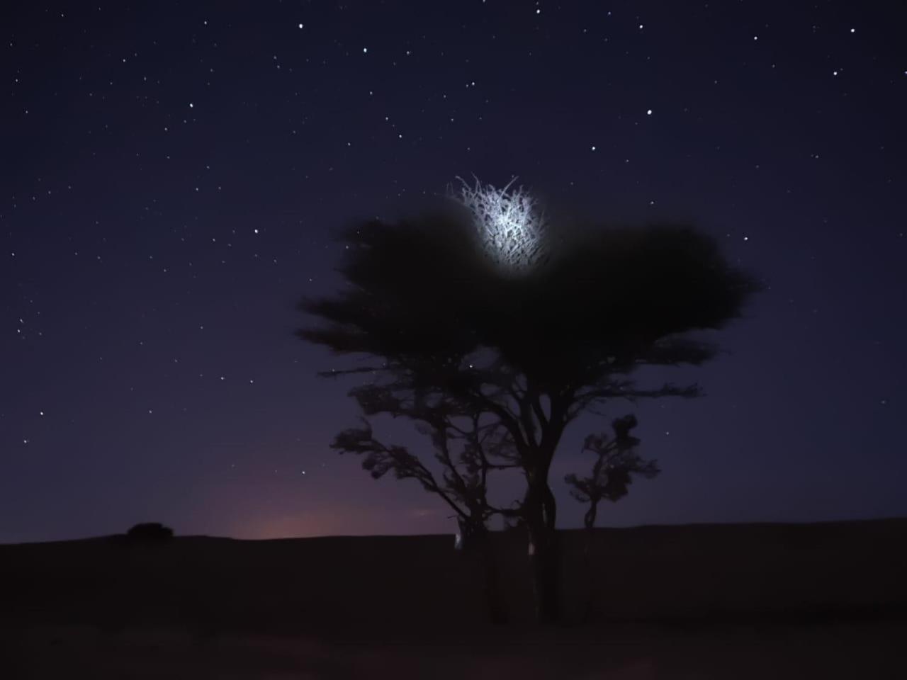 Tuareg Luxury Camp Luxury tent Merzouga