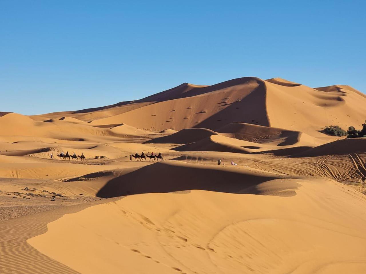 Tuareg Luxury Camp Luxury tent